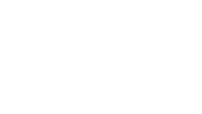ALBWSTORE